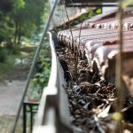 Durable Roofing Options for Long-Term Protection